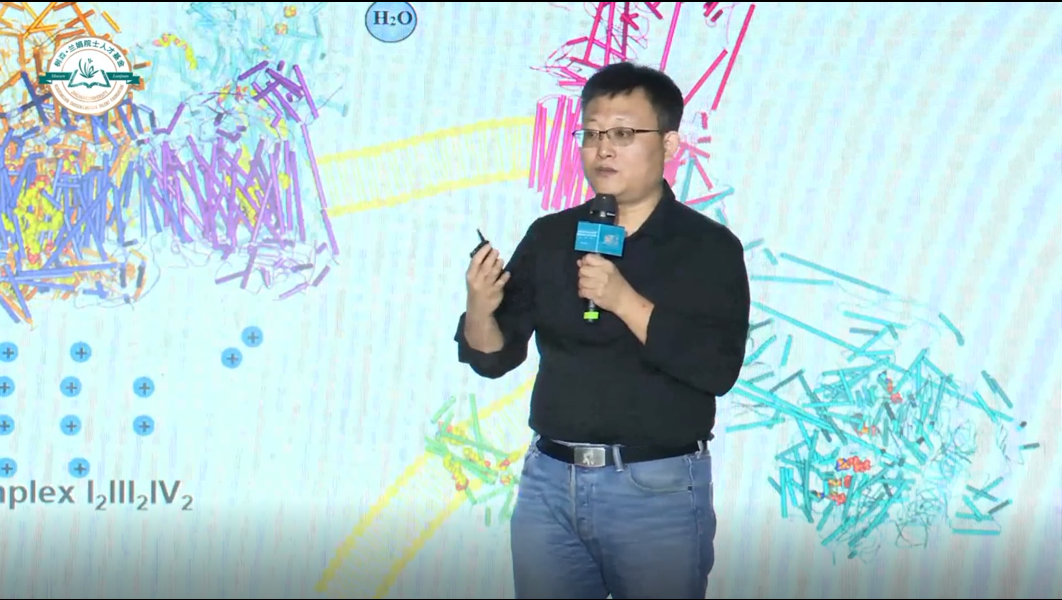 杨茂君：呼吸的分子基础